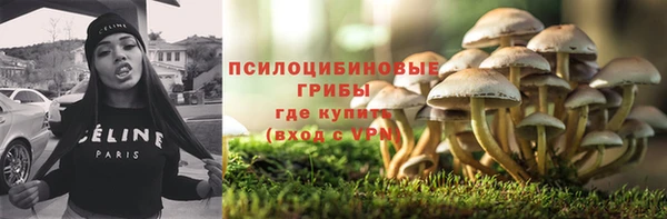 первитин Белокуриха