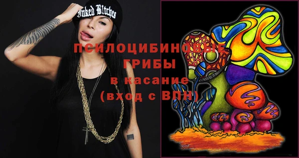 эйфоретик Беломорск